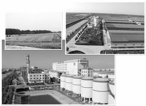 接二连三技术推广助力中裕公司拉长产业链