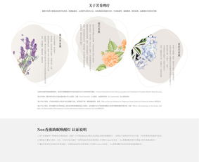 软件开发 关键要素、参数与用户体验分析